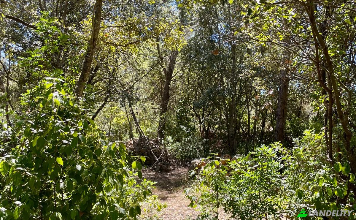 Farm/Ranch for Sale Put Gospojice 40, 21460, Stari Grad, Grad Stari Grad, Split-Dalmatia County, Croatia. Photo 6