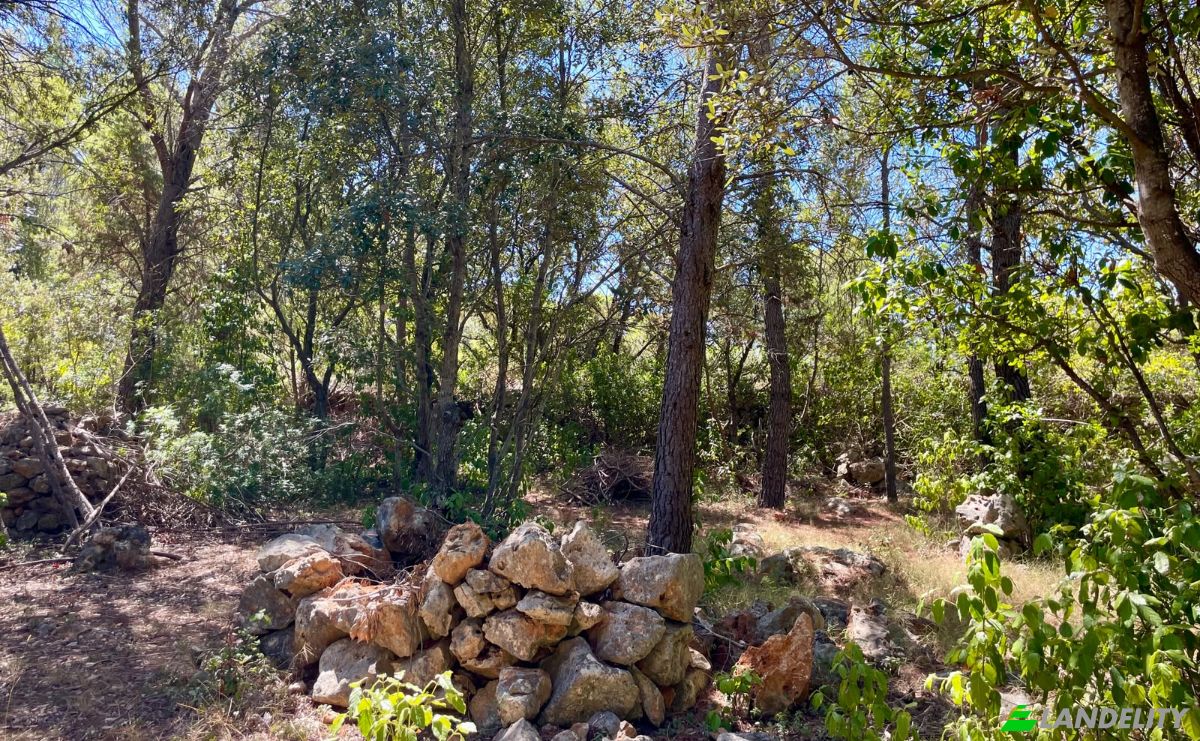 Farm/Ranch for Sale Put Gospojice 40, 21460, Stari Grad, Grad Stari Grad, Split-Dalmatia County, Croatia. Photo 16