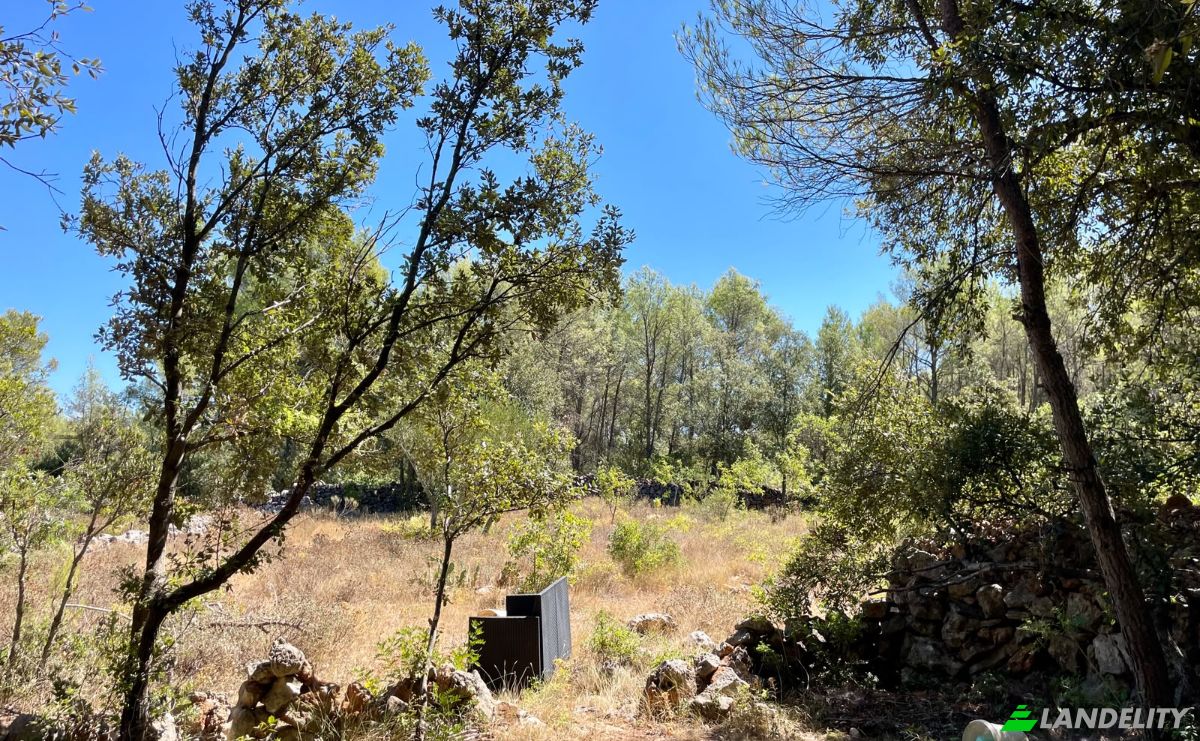 Farm/Ranch for Sale Put Gospojice 40, 21460, Stari Grad, Grad Stari Grad, Split-Dalmatia County, Croatia. Photo 7