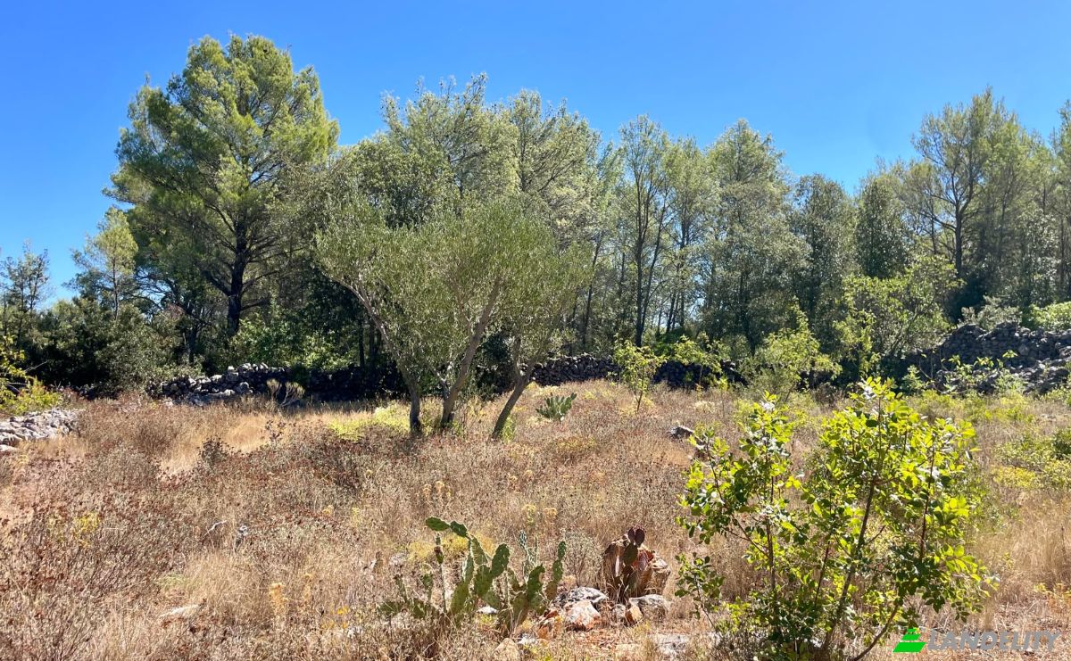 Farm/Ranch for Sale Put Gospojice 40, 21460, Stari Grad, Grad Stari Grad, Split-Dalmatia County, Croatia. Photo 9
