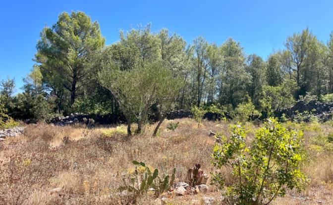 Farm/Ranch for Sale Put Gospojice 40, 21460. Photo#9