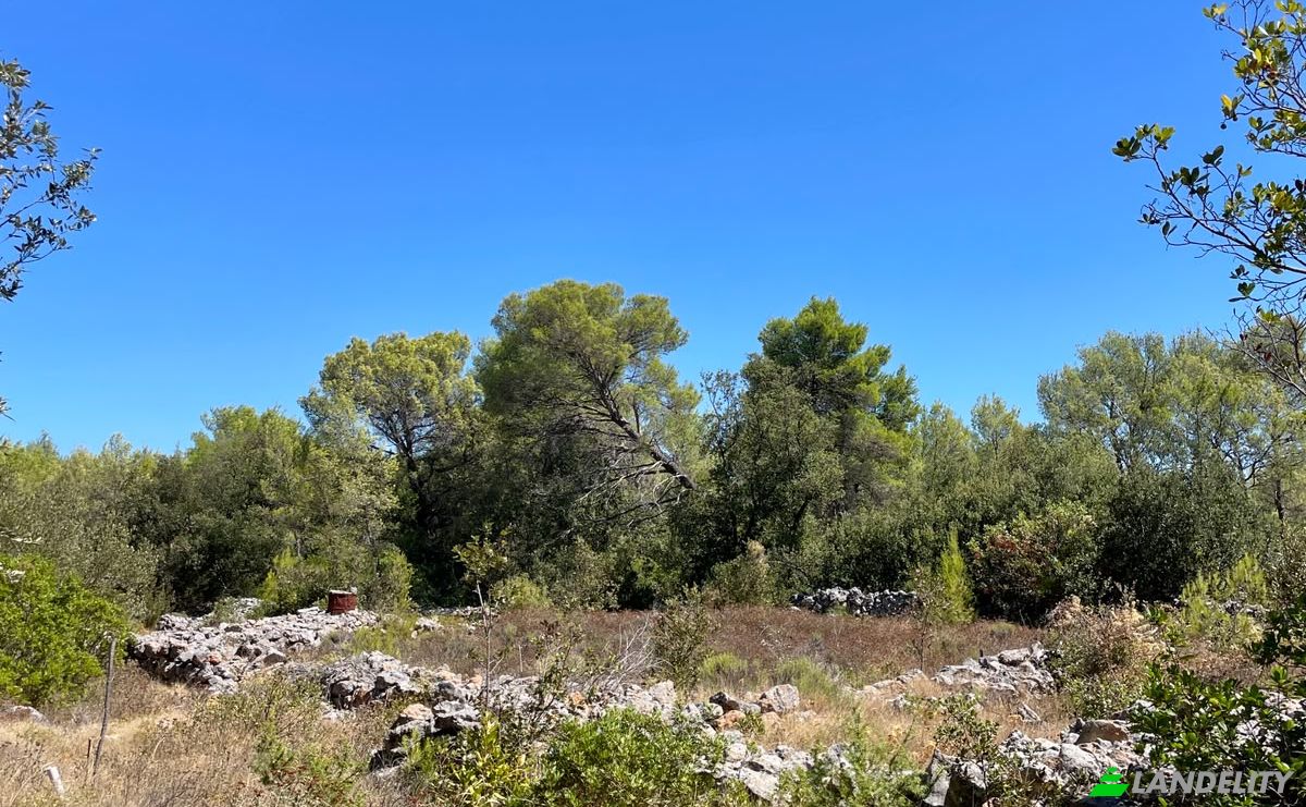 Farm/Ranch for Sale Put Gospojice 40, 21460, Stari Grad, Grad Stari Grad, Split-Dalmatia County, Croatia. Photo 11