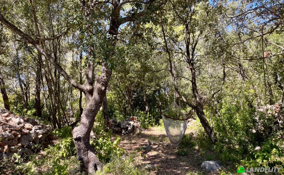 Farm/Ranch for Sale Put Gospojice 40, 21460, Stari Grad, Grad Stari Grad, Split-Dalmatia County, Croatia. Photo 18
