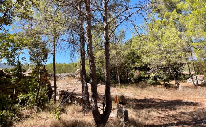 Farm/Ranch for Sale Put Gospojice 40, 21460. Photo#5