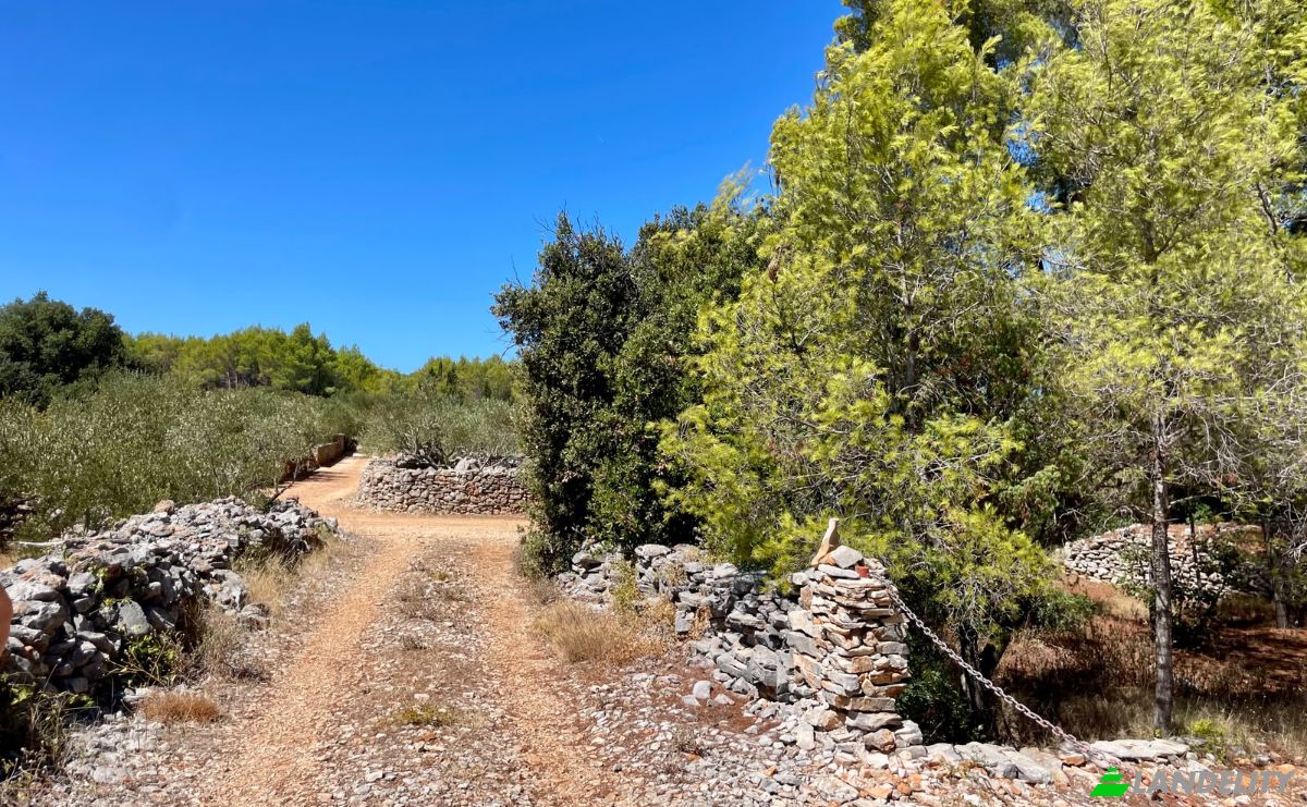 Farm/Ranch for Sale Put Gospojice 40, 21460, Stari Grad, Grad Stari Grad, Split-Dalmatia County, Croatia. Photo 3