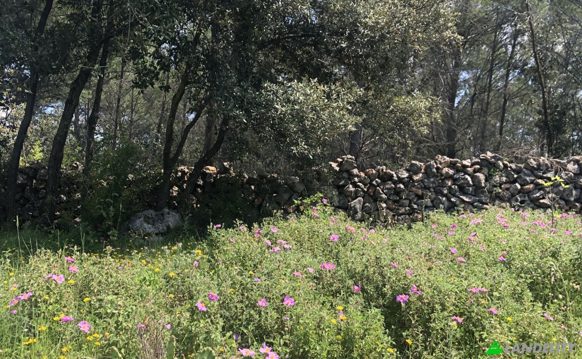 Farm/Ranch for Sale Put Gospojice 40, 21460, Stari Grad, Grad Stari Grad, Split-Dalmatia County, Croatia. Photo 10