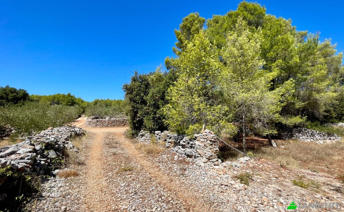 Farm/Ranch for Sale Put Gospojice 40, 21460, Stari Grad, Grad Stari Grad, Split-Dalmatia County, Croatia. Photo 2