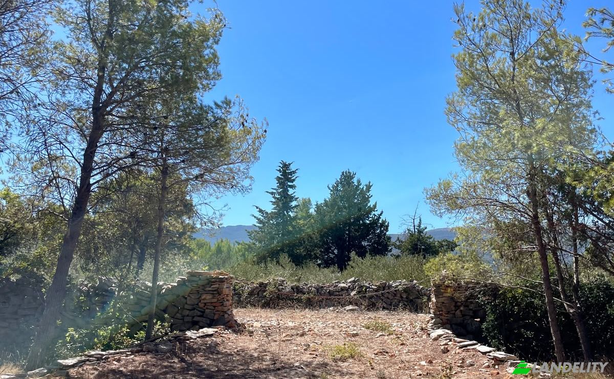 Farm/Ranch for Sale Put Gospojice 40, 21460, Stari Grad, Grad Stari Grad, Split-Dalmatia County, Croatia. Photo 4