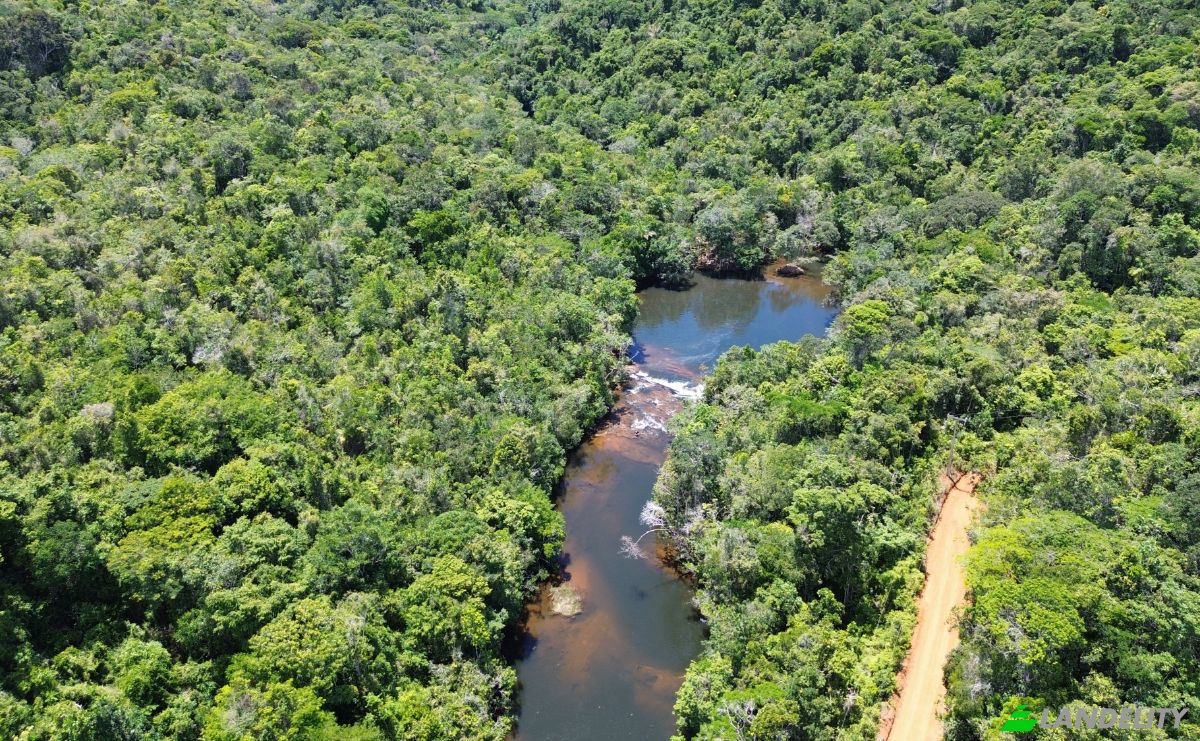 Investimento/Desenvolvimento à venda BA-001, Serra Grande, Uruçuca, 45680-000, Itacaré, Bahia, Brasil. foto 6