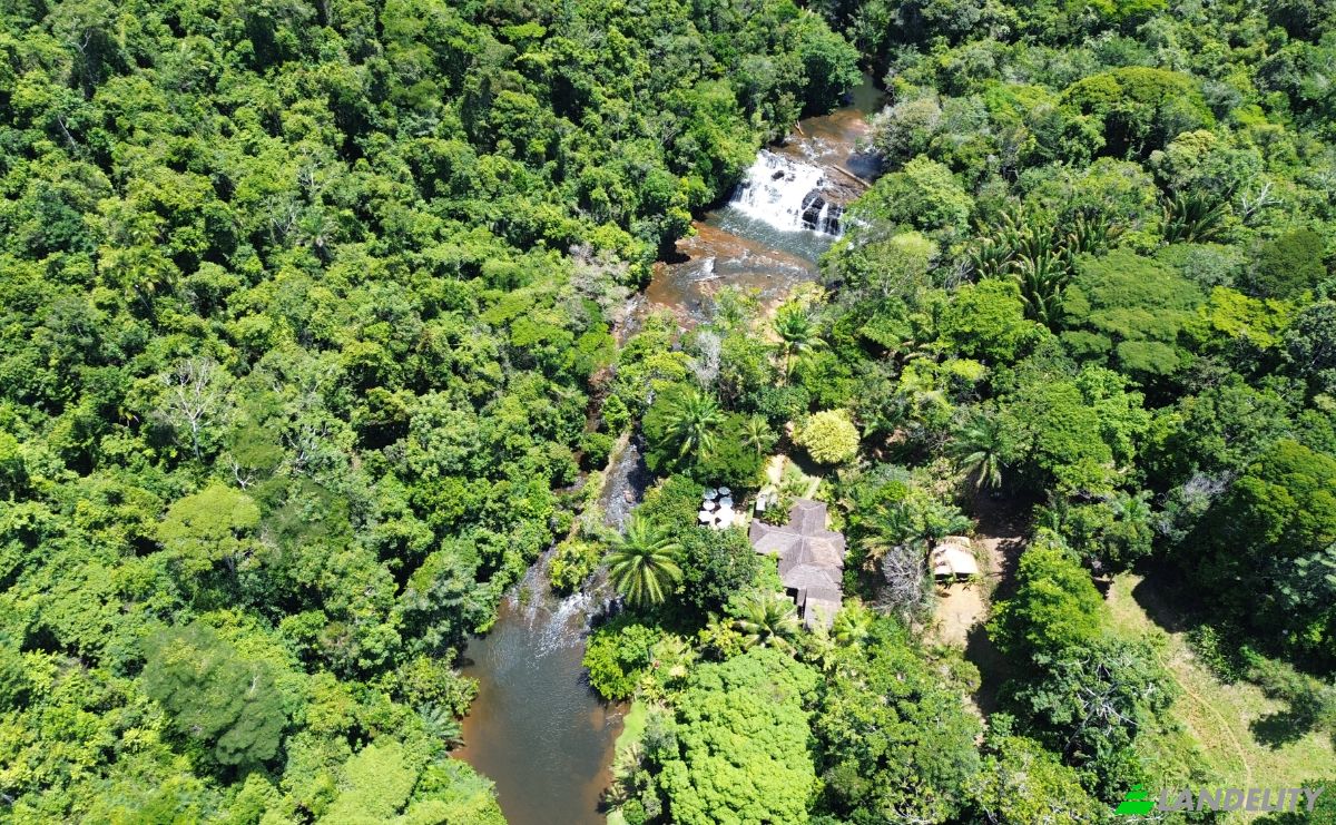 Investimento/Desenvolvimento à venda BA-001, Serra Grande, Uruçuca, 45680-000, Itacaré, Bahia, Brasil. foto 9
