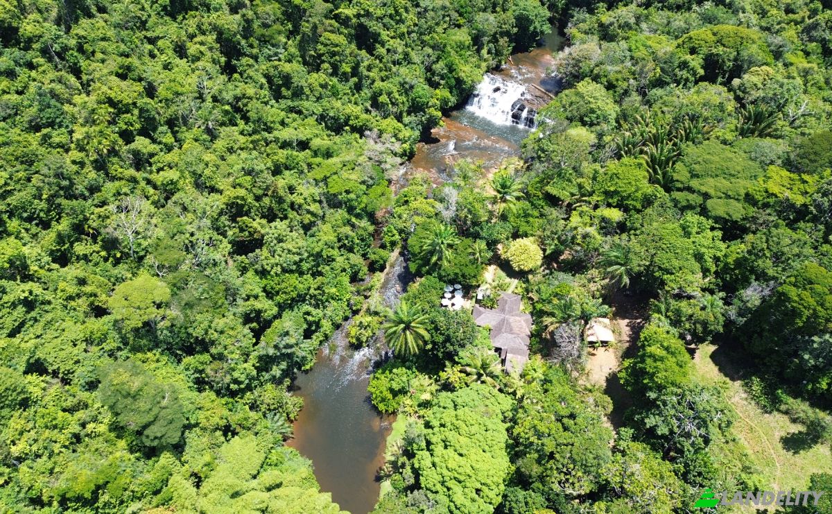Investimento/Desenvolvimento à venda BA-001, Serra Grande, Uruçuca, 45680-000, Itacaré, Bahia, Brasil. foto 10