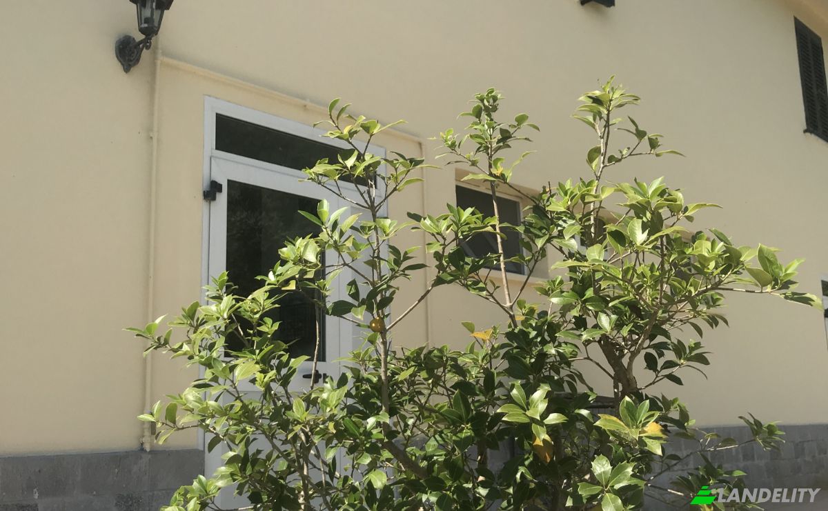 Villa for Sale Contrada Chiaro, 63814 Torre San Patrizio FM, Torre San Patrizio, Province of Fermo, Marche, Italy. Photo 12