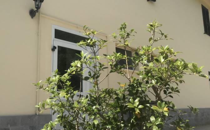 Villa for Sale Contrada Chiaro. Photo#12 Villa for Sale Contrada Chiaro. Photo#12