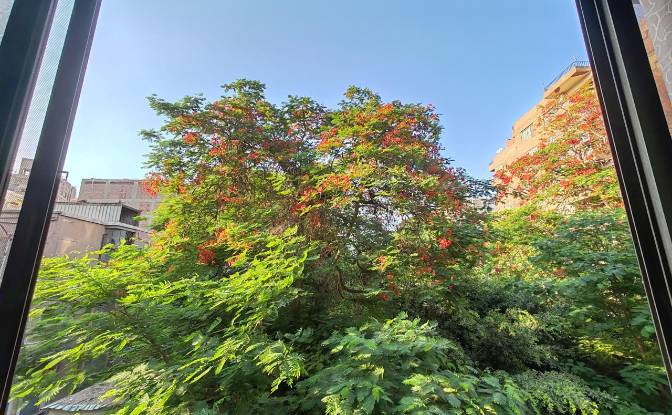 Apartment for Sale Al Mesaha, Ad Doqi A, Giza. Photo#9