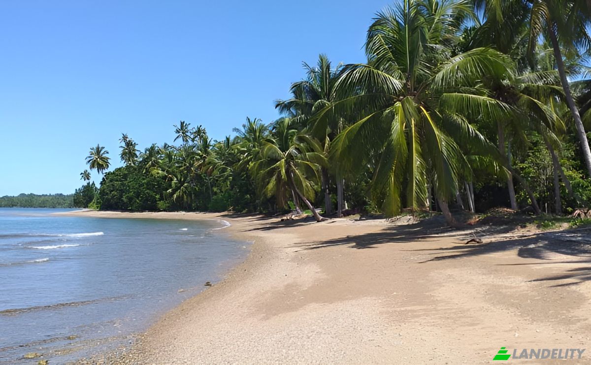 Resort for Sale Jl Trans Sulawesi, Biniha Tim, Kec Bolaang Uki, Kabupaten Bolaang Mongondow Selatan, Sulawesi Utara, East Biniha, South Bolaang Mongondow Regency, North Sulawesi, Indonesia. Photo 1