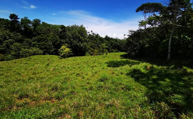 Land Lot for Sale Ruta Nacional Treciaria 611. Photo#1 Land Lot for Sale Ruta Nacional Treciaria 611. Photo#1