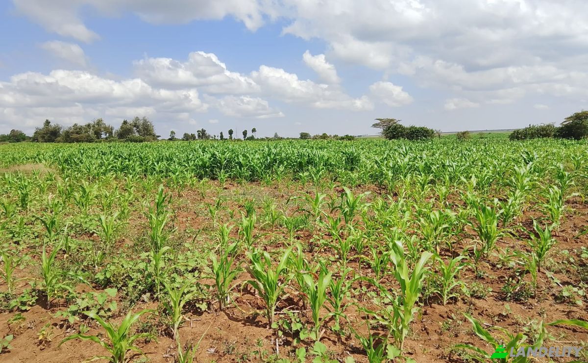Farm/Ranch for Sale Sipili Town, Ngarua, Laikipia County, Kenya. Photo 1