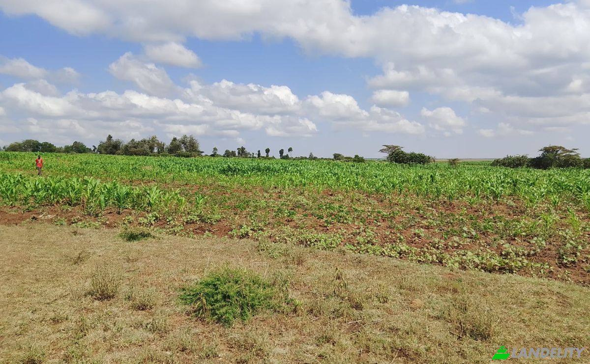 Farm/Ranch for Sale Sipili Town, Ngarua, Laikipia County, Kenya. Photo 2