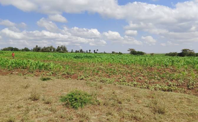 Farm/Ranch for Sale Sipili Town, Ngarua. Photo#2