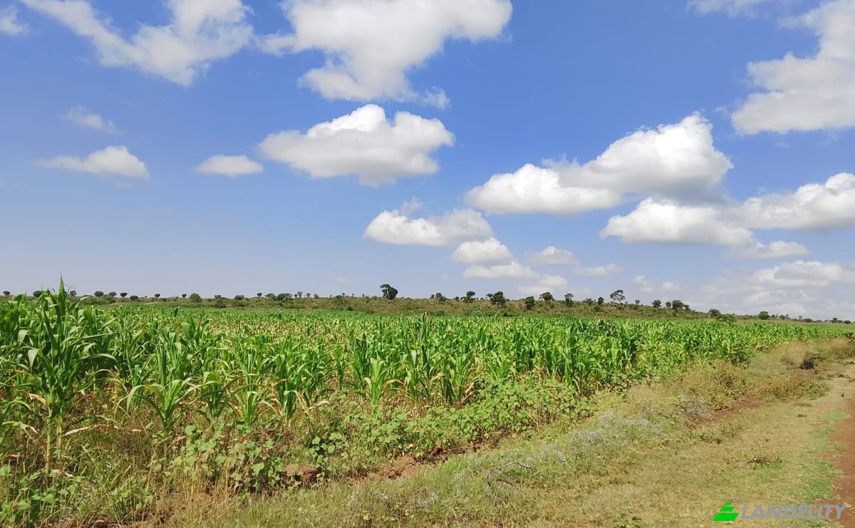 Farm/Ranch for Sale Sipili Town, Ngarua, Laikipia County, Kenya. Photo 3