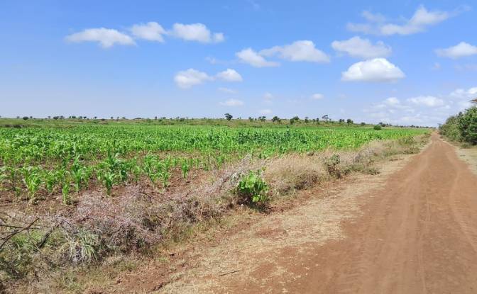 Farm/Ranch for Sale Sipili Town, Ngarua. Photo#4