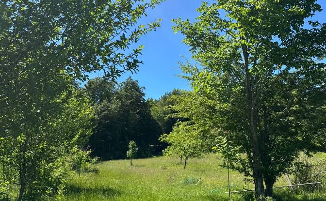 Land Lot for Sale 53000, Baske Ostarije. Photo#11