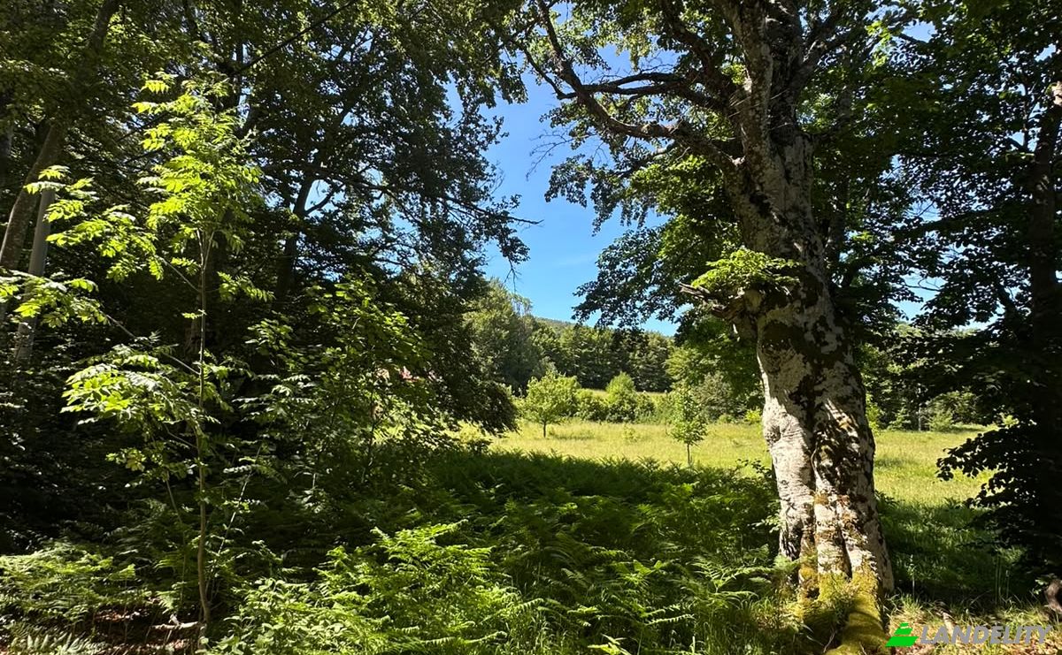 Land Lot for Sale 53000, Baske Ostarije, Opcina Karlobag, Lika-Senj County, Croatia. Photo 3