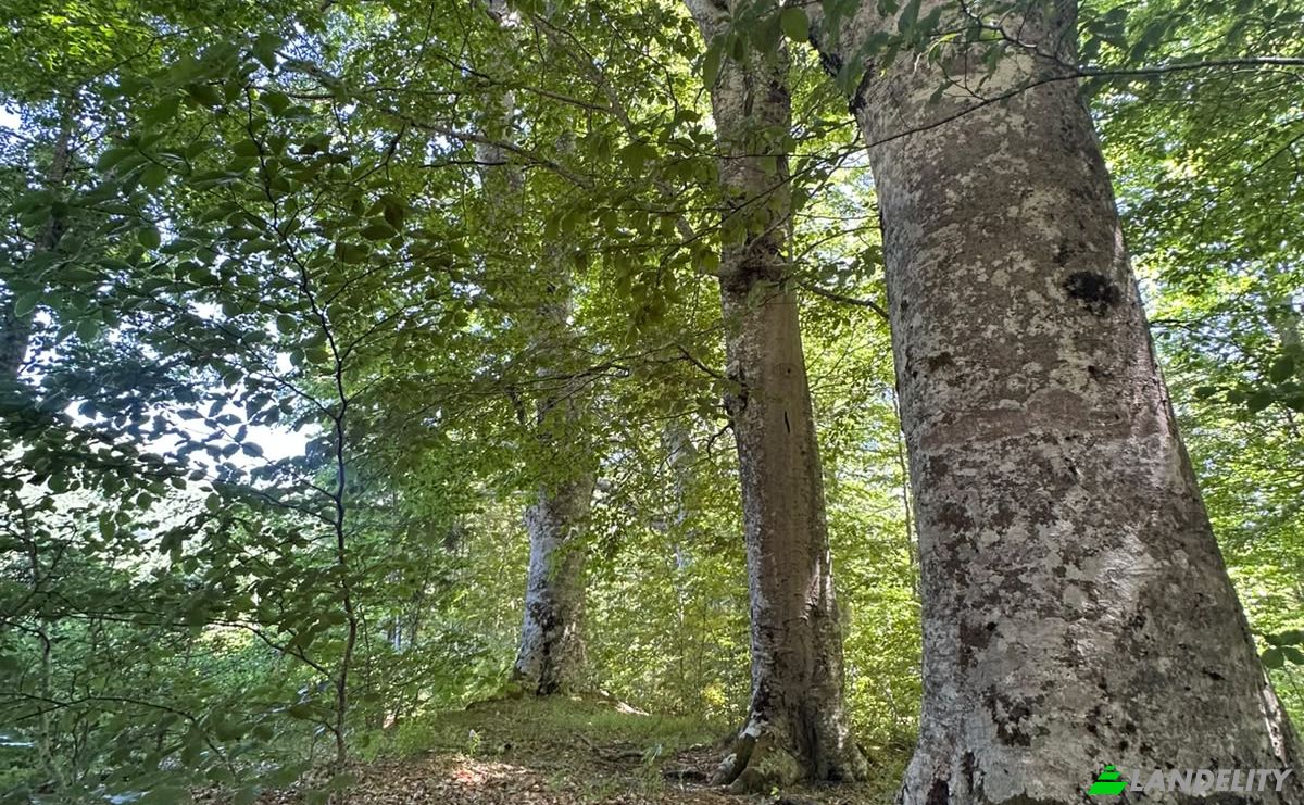 Land Lot for Sale 53000, Baske Ostarije, Opcina Karlobag, Lika-Senj County, Croatia. Photo 4