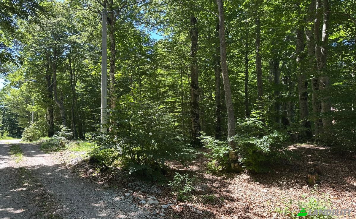 Land Lot for Sale 53000, Baske Ostarije, Opcina Karlobag, Lika-Senj County, Croatia. Photo 2