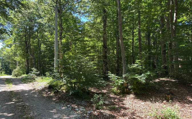 Land Lot for Sale 53000, Baske Ostarije. Photo#2 Land Lot for Sale 53000, Baske Ostarije. Photo#2