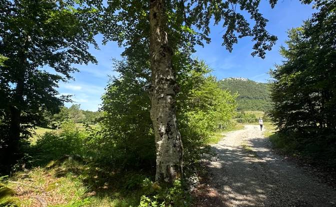 Land Lot for Sale 53000, Baske Ostarije. Photo#5 Land Lot for Sale 53000, Baske Ostarije. Photo#5