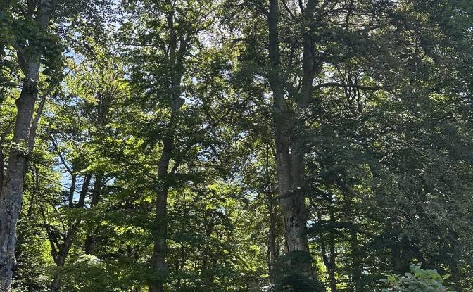 Land Lot for Sale 53000, Baske Ostarije. Photo#6 Land Lot for Sale 53000, Baske Ostarije. Photo#6