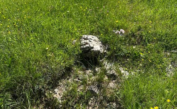 Land Lot for Sale 53000, Baske Ostarije. Photo#7 Land Lot for Sale 53000, Baske Ostarije. Photo#7