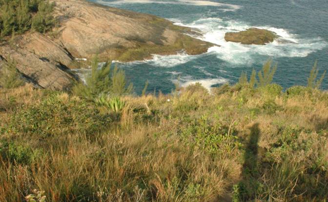 Land Lot for Sale R Tres Pontes, Ponta Negra. Photo#4 Land Lot for Sale R Tres Pontes, Ponta Negra. Photo#4