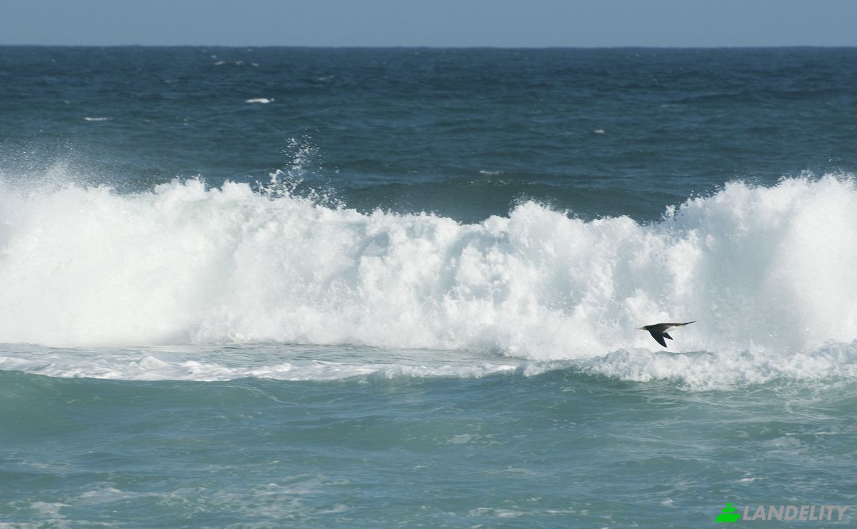 Land Lot for Sale R Tres Pontes, Ponta Negra, Marica, Rio de Janeiro, Brazil, 24922-235. Photo 16