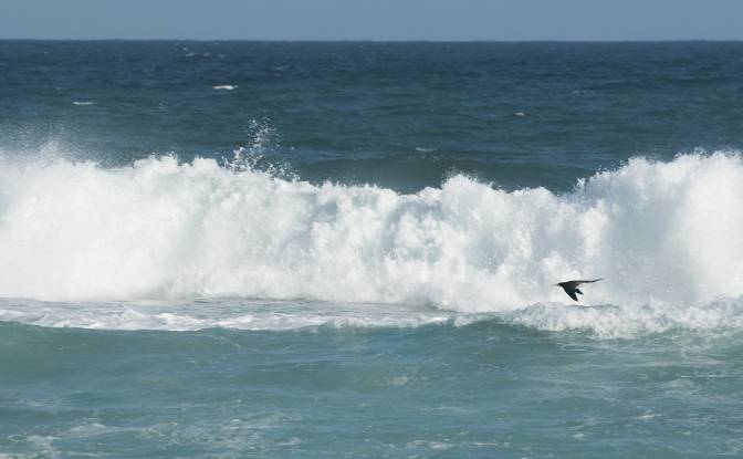 Land Lot for Sale R Tres Pontes, Ponta Negra. Photo#16 Land Lot for Sale R Tres Pontes, Ponta Negra. Photo#16