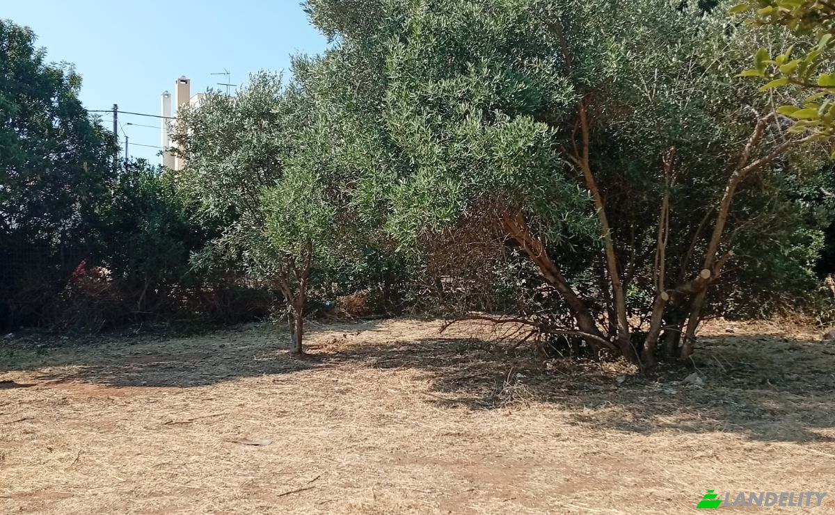 Land Lot for Sale Megalocharis 1, Nea Makri 190 05, Nea Makri, Attica, Decentralized Administration of Attica, Greece. Photo 1