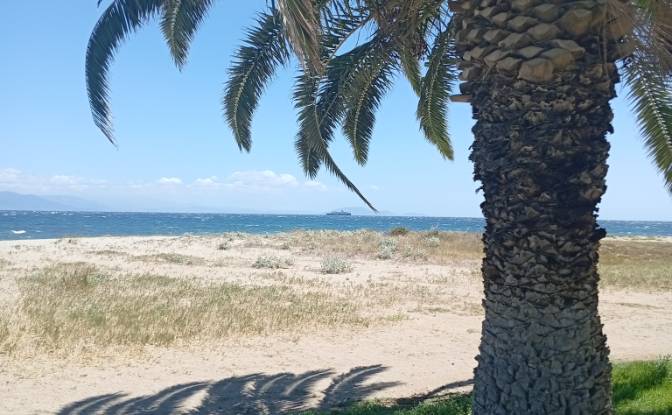 Land Lot for Sale Megalocharis 1, Nea Makri 190 05. Photo#8 Land Lot for Sale Megalocharis 1, Nea Makri 190 05. Photo#8