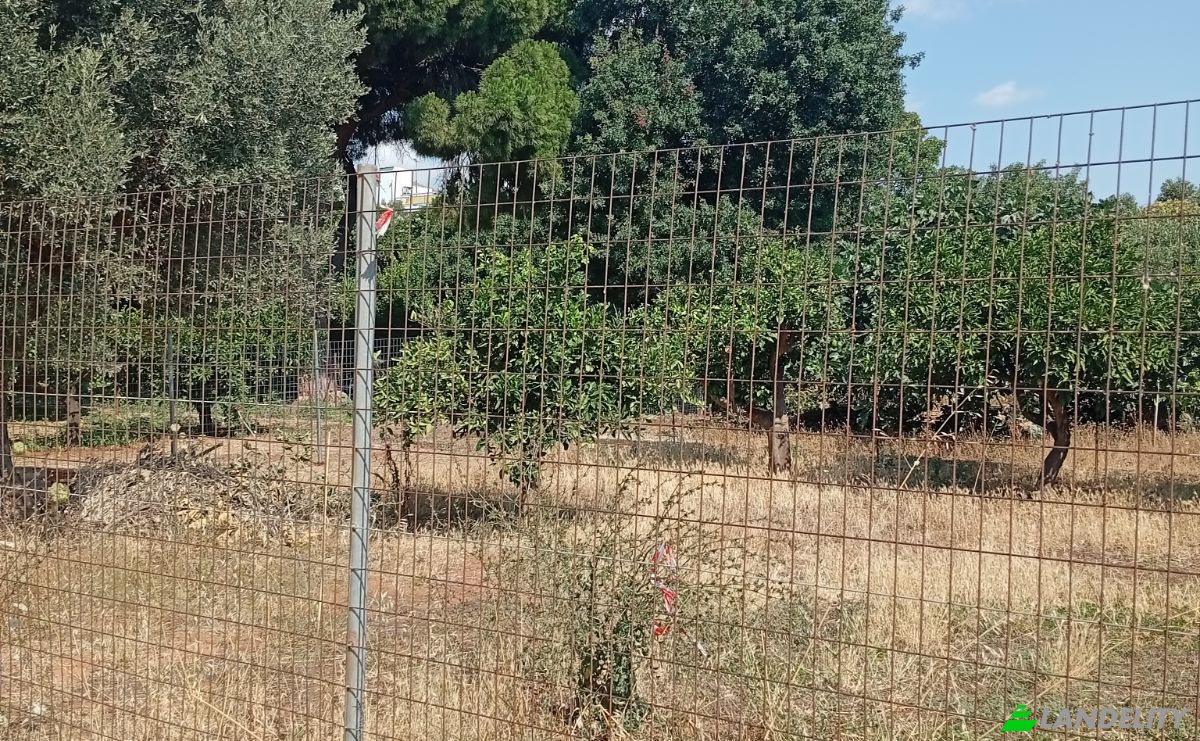 Land Lot for Sale Megalocharis 1, Nea Makri 190 05, Nea Makri, Attica, Decentralized Administration of Attica, Greece. Photo 2