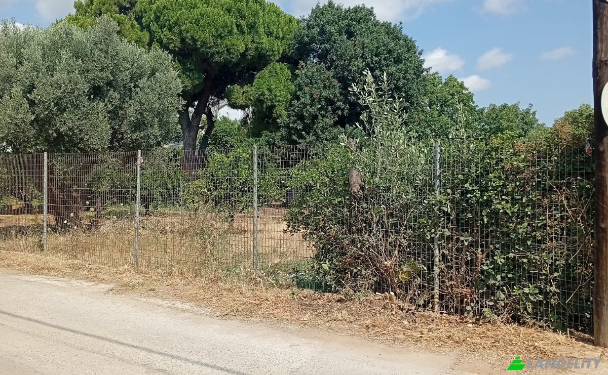 Land Lot for Sale Megalocharis 1, Nea Makri 190 05, Nea Makri, Attica, Decentralized Administration of Attica, Greece. Photo 3