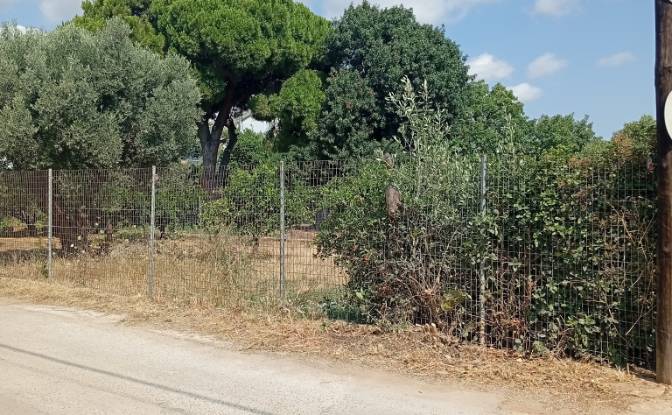 Land Lot for Sale Megalocharis 1, Nea Makri 190 05. Photo#3 Land Lot for Sale Megalocharis 1, Nea Makri 190 05. Photo#3