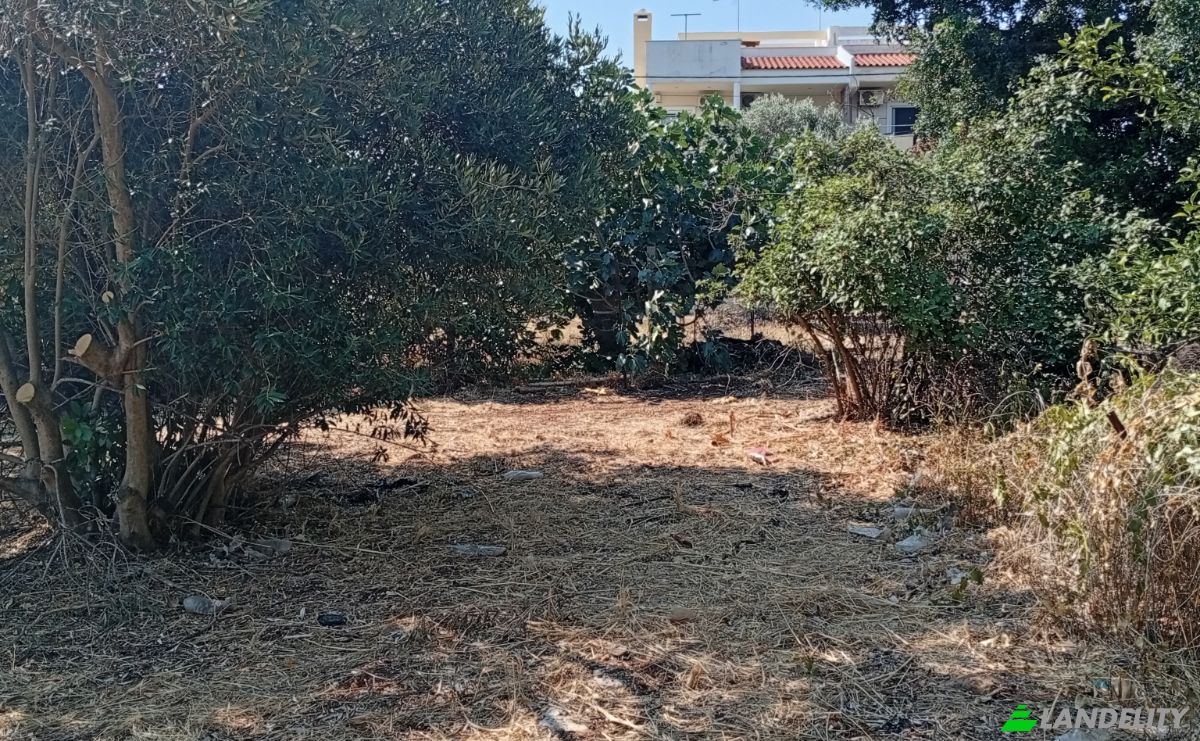 Land Lot for Sale Megalocharis 1, Nea Makri 190 05, Nea Makri, Attica, Decentralized Administration of Attica, Greece. Photo 5