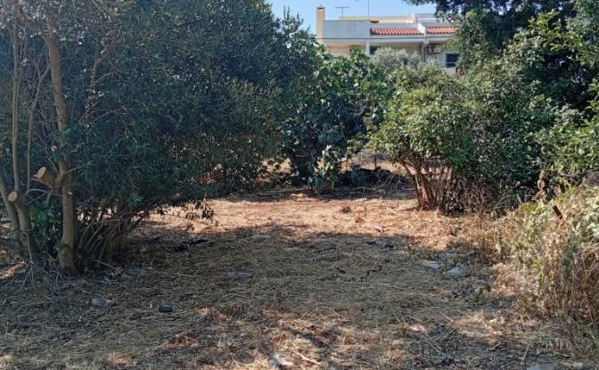 Land Lot for Sale Megalocharis 1, Nea Makri 190 05. Photo#5 Land Lot for Sale Megalocharis 1, Nea Makri 190 05. Photo#5