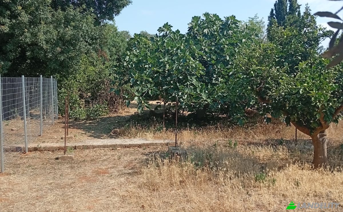 Land Lot for Sale Megalocharis 1, Nea Makri 190 05, Nea Makri, Attica, Decentralized Administration of Attica, Greece. Photo 6