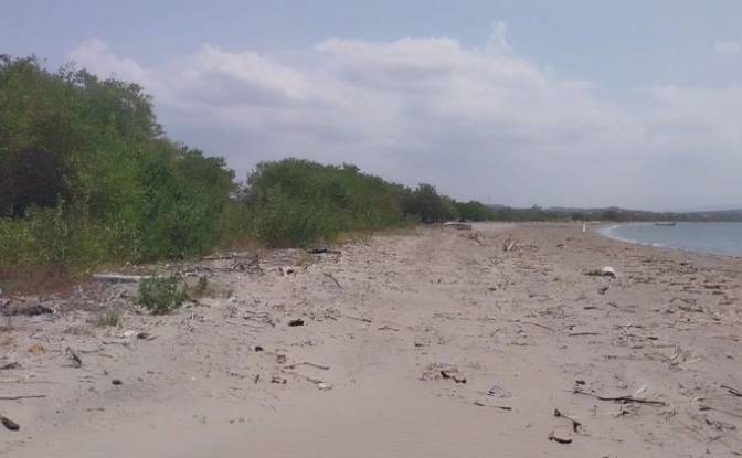Investing/Development for Sale Via a Puerto Caiman. Photo#8