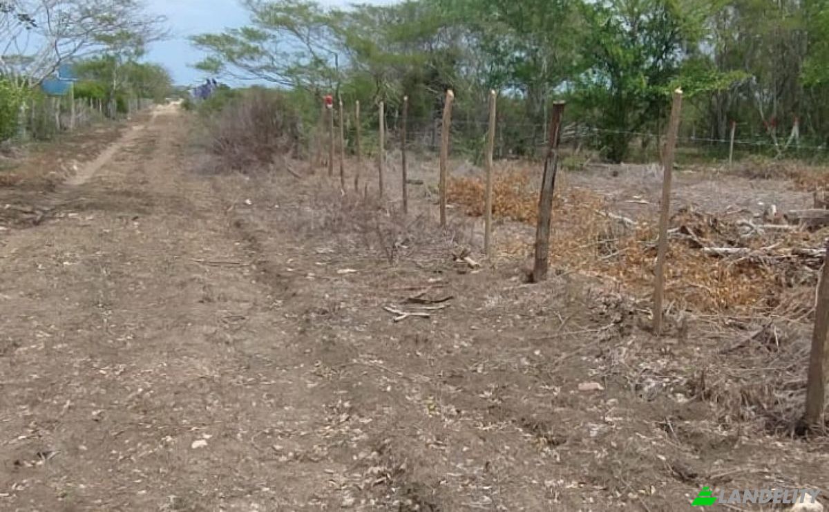 Land Lot for Sale Cartagena de Indias, Cartagena, Bolivar, Colombia. Photo 10