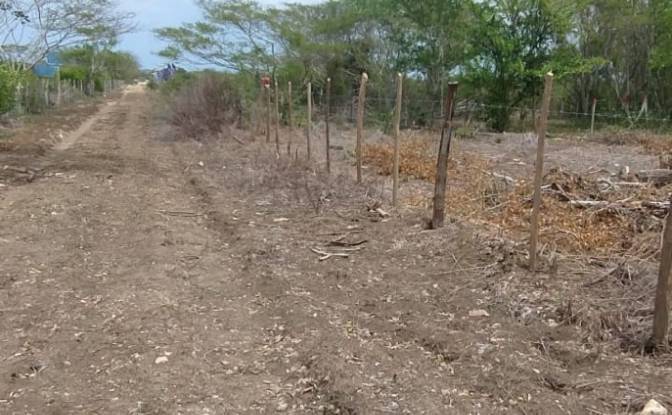 Land Lot for Sale Cartagena de Indias, Cartagena. Photo#10 Land Lot for Sale Cartagena de Indias, Cartagena. Photo#10
