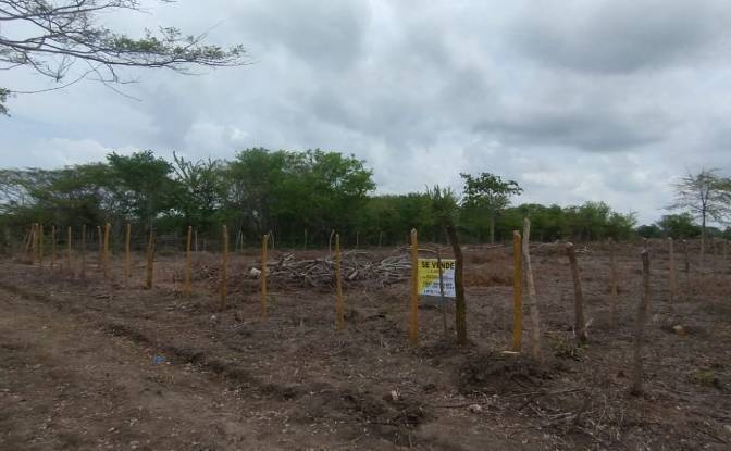 Land Lot for Sale Cartagena de Indias, Cartagena. Photo#6 Land Lot for Sale Cartagena de Indias, Cartagena. Photo#6