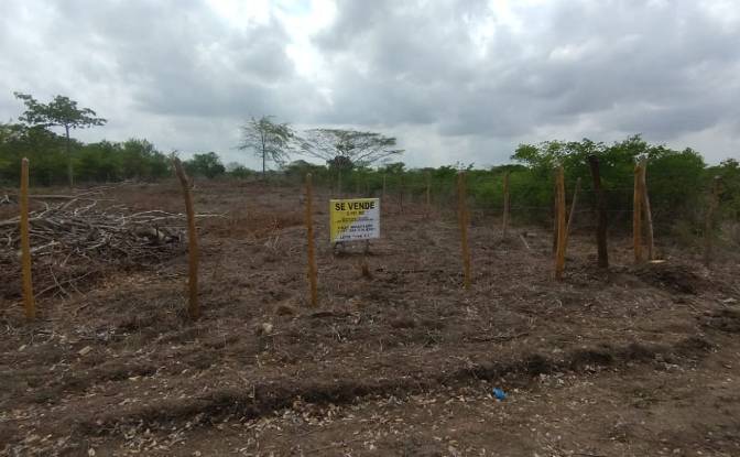 Land Lot for Sale Cartagena de Indias, Cartagena. Photo#7 Land Lot for Sale Cartagena de Indias, Cartagena. Photo#7