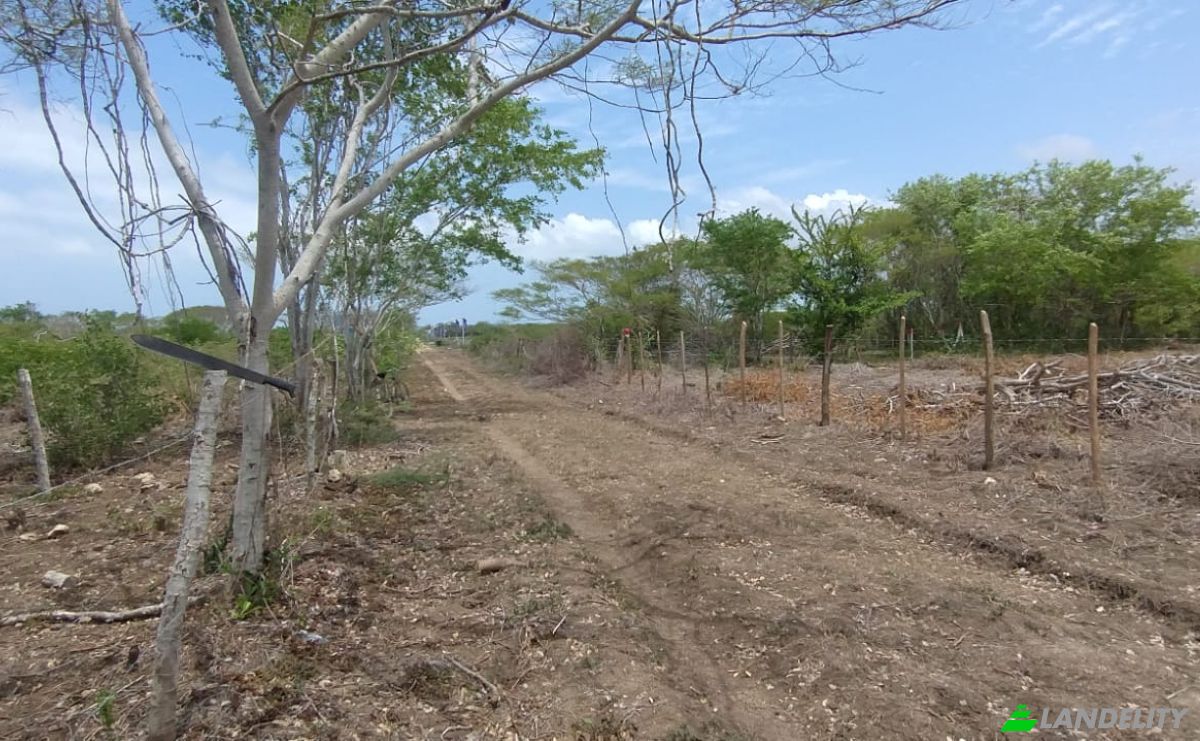 Land Lot for Sale Cartagena de Indias, Cartagena, Bolivar, Colombia. Photo 9